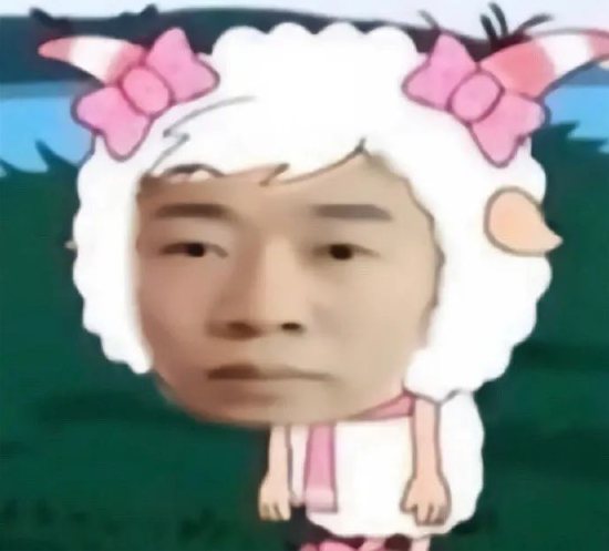 请输入文本